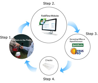 The Electronic Time Keeping Process